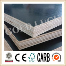 Qingdao Gold Luck (High Quality, Low Price) Film Faced Plywood